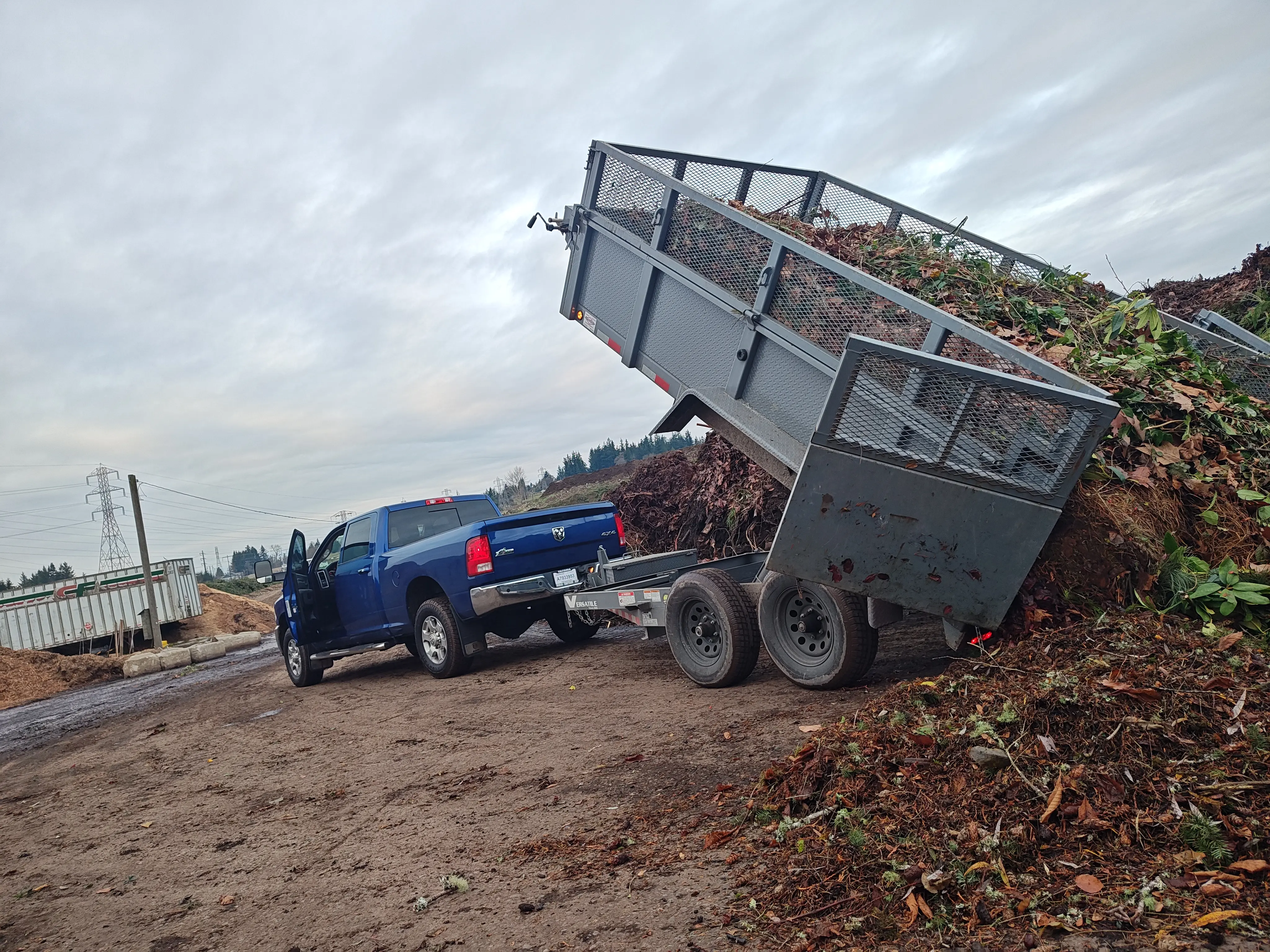 Blue pickup truck with tilted dump trailer removing yard waste and debris, professional landscaping cleanup service in action.