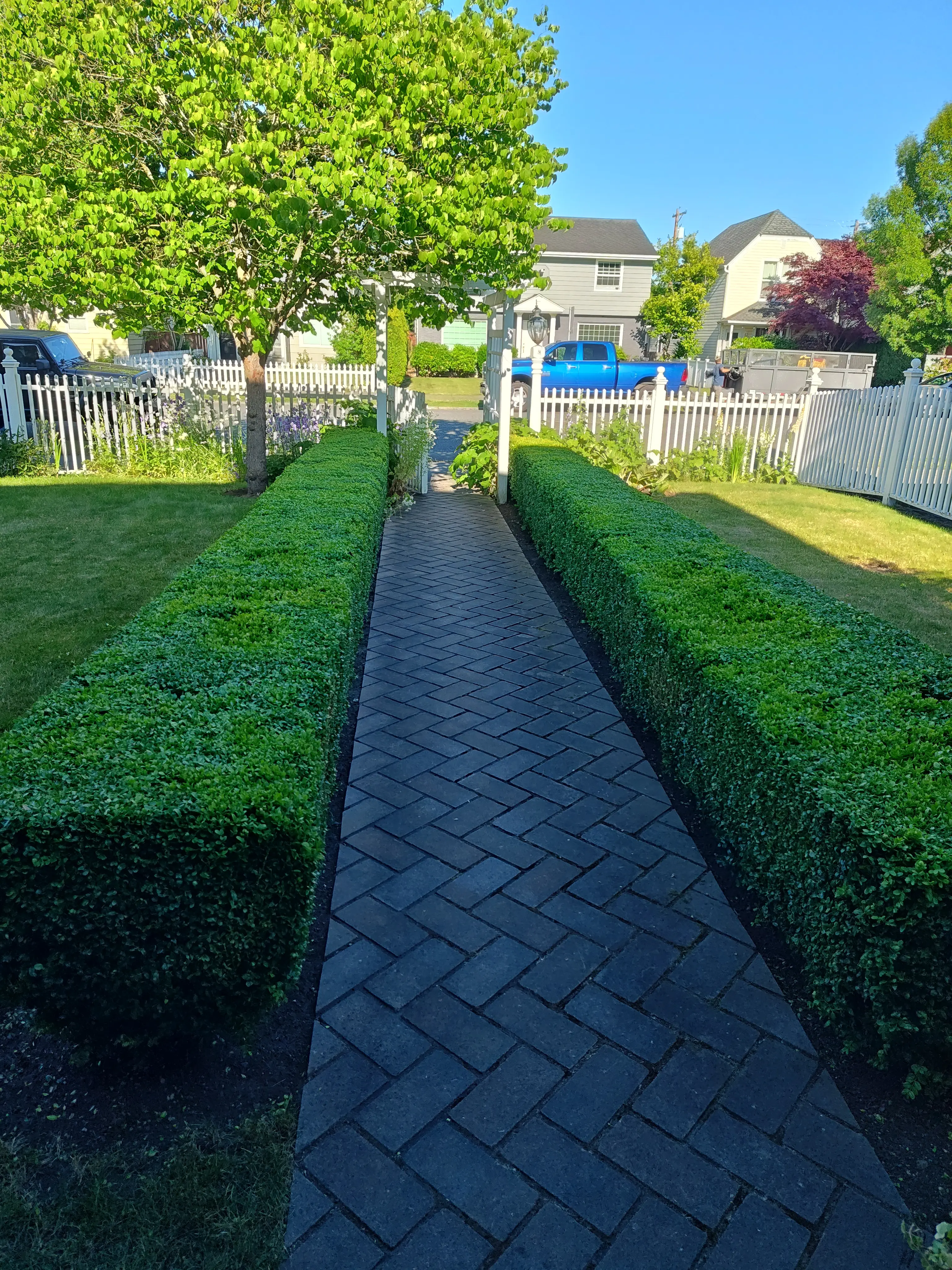 Front yard with elegant brick paver walkway flanked by perfectly manicured low hedges, white picket fence, and well-maintained lawn.