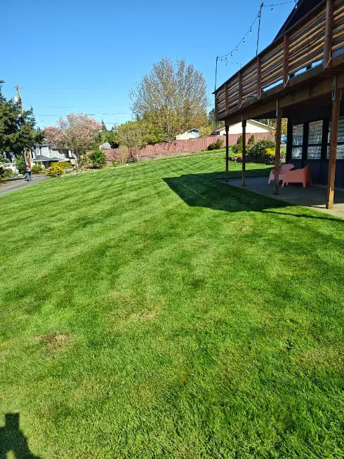 Side yard with pristine, professionally striped lawn next to house with deck, featuring vibrant green grass and mature trees.
