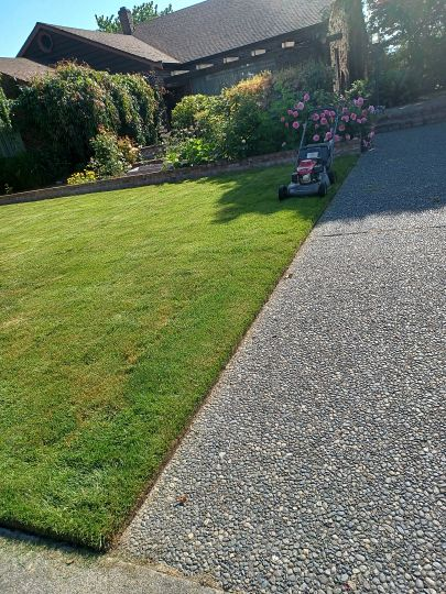 Professional lawn mowing results with beautiful striping pattern